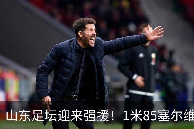 山东足坛迎来强援！1米85塞尔维亚前国脚正式加盟